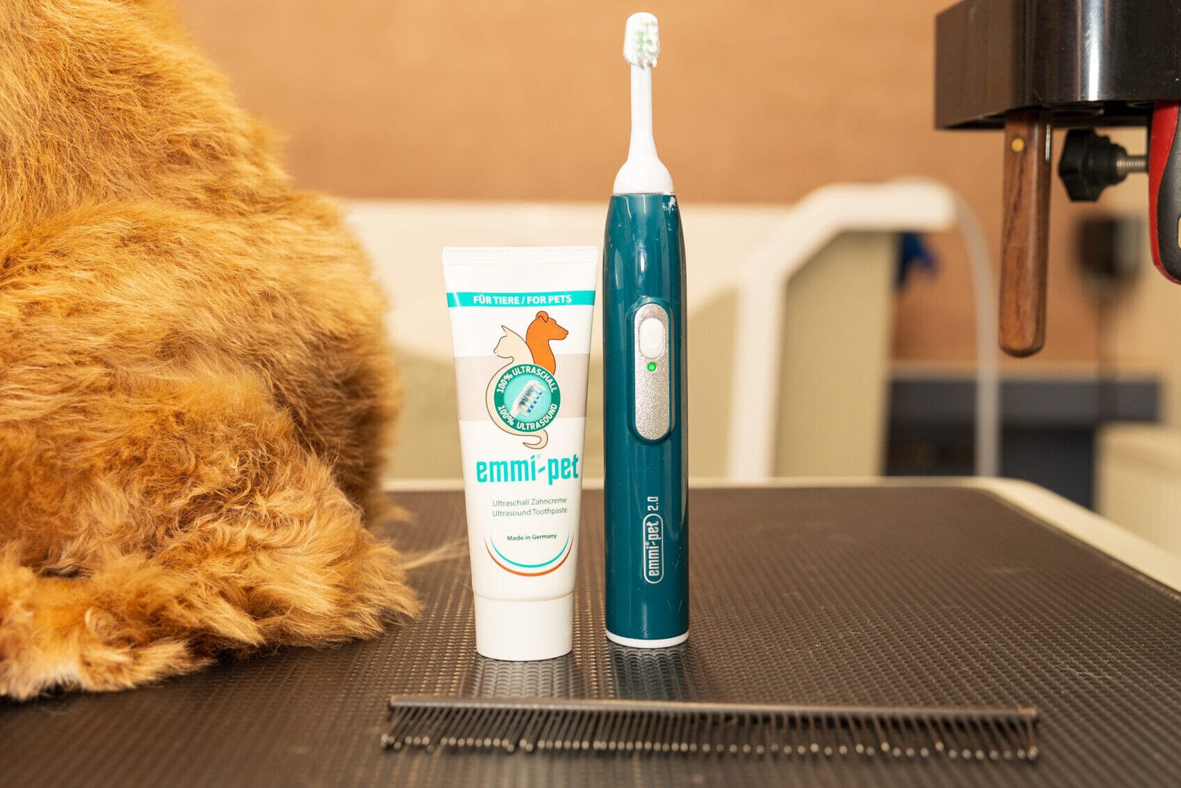 emmi pet ultrasonic teeth cleaning brush and head