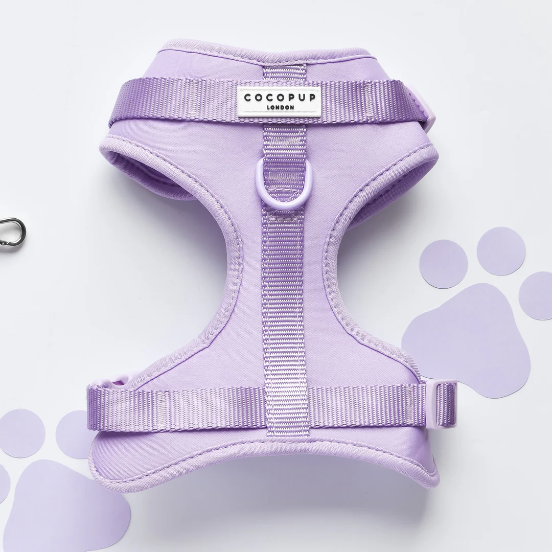 naked harness purple